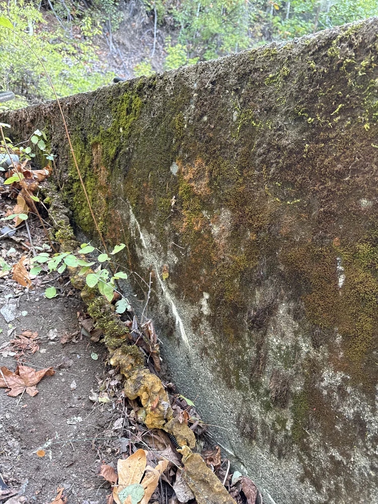 Boston Bar Water Tank Restoration - Gallery 4